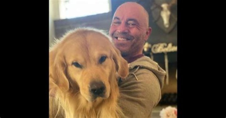 Who is Marshall Mae Rogan? Joe Rogan's photos of his beloved dog prove he shares impeccable bond wit